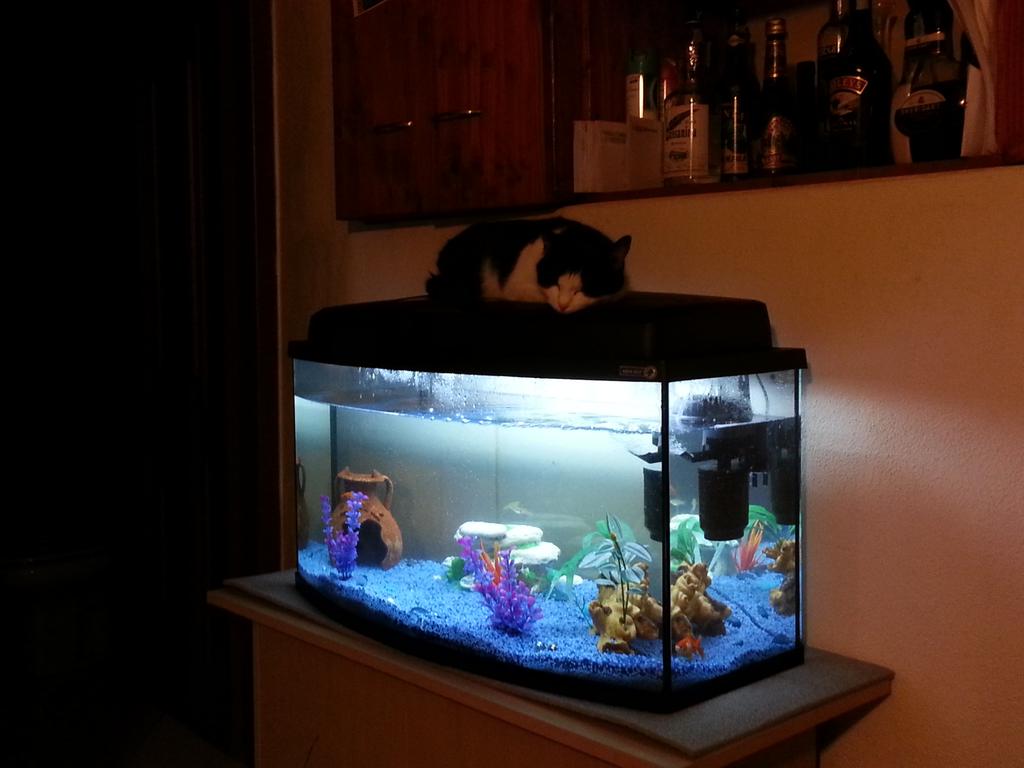 Gioia se la dorme in attesa che i fish escano :-D