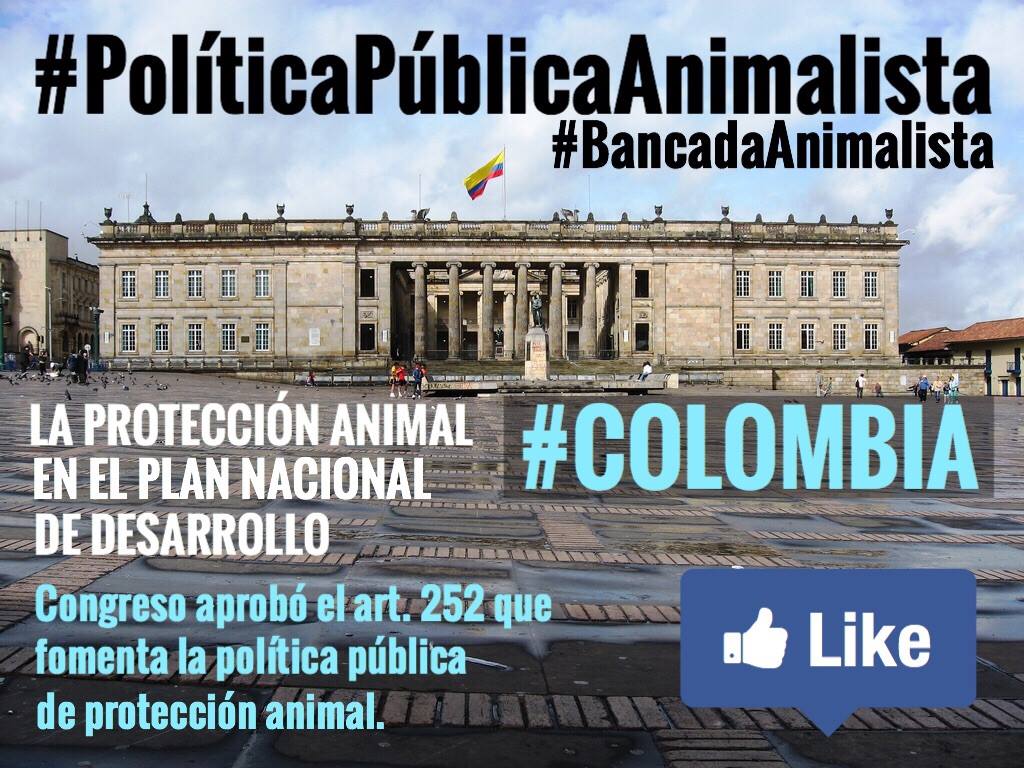 PlataformaALTO's tweet photo. Histórico:Se incluye protección de los animales en Plan Nal. de Desarrollo. Gracias @GGarciaRealpe #BancadaAnimalista http://t.co/wvkG0LWiF3