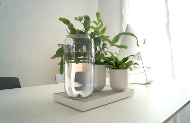 Kickstarter tweet media