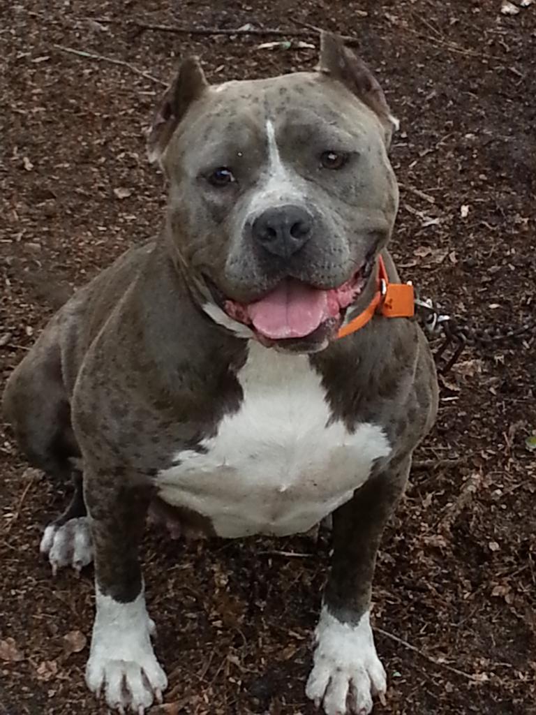 hunt_gmail's tweet image. My baby girl!!!