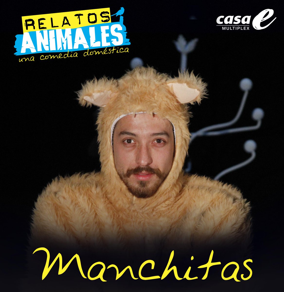 #Manchitas - <a href="/mitomanorangel/">jimmy rangel</a> Un acaudalado gato, siempre limpio y un poco miedoso ronda #CasaE en #RelatosAnimales