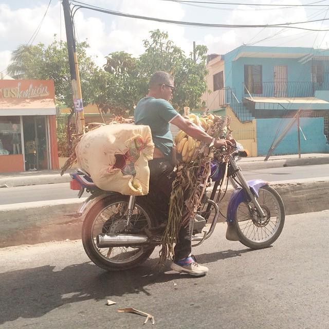 lisaleonard's tweet image. The morning commute looks a little different in the Dominican Republic. #awesome #compassi… ift.tt/1GXnI4M