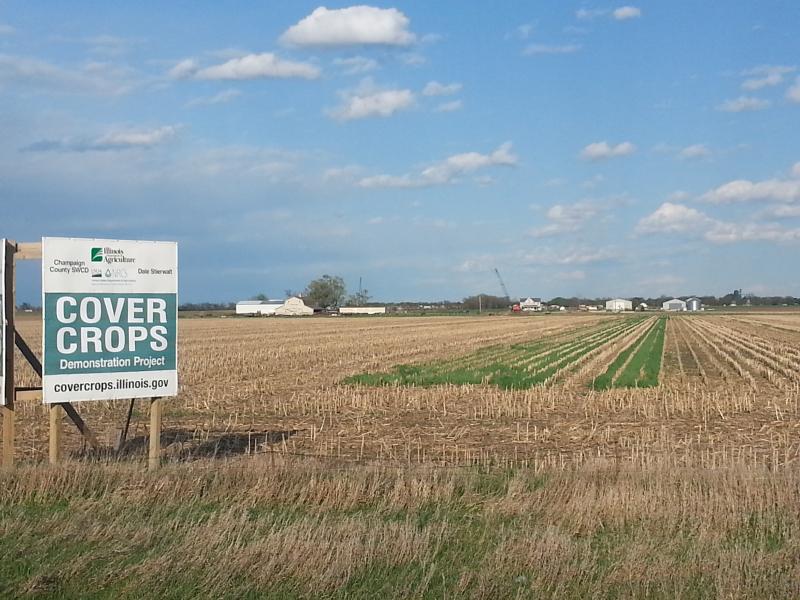 Brian Halweil tweet media