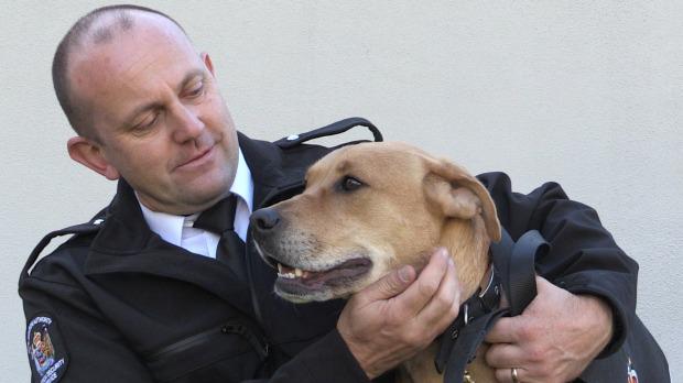 NZAlertDog's tweet photo. #WagsAndLicks to Jazz! |Death row #dog graduates as explosives detector|http://t.co/njlf35AHk8 http://t.co/AB2zFFRHSa http://t.co/kjNPAF7M70