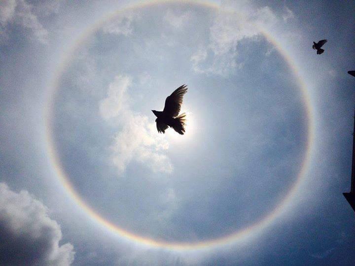 Enlace permanente de imagen incrustada