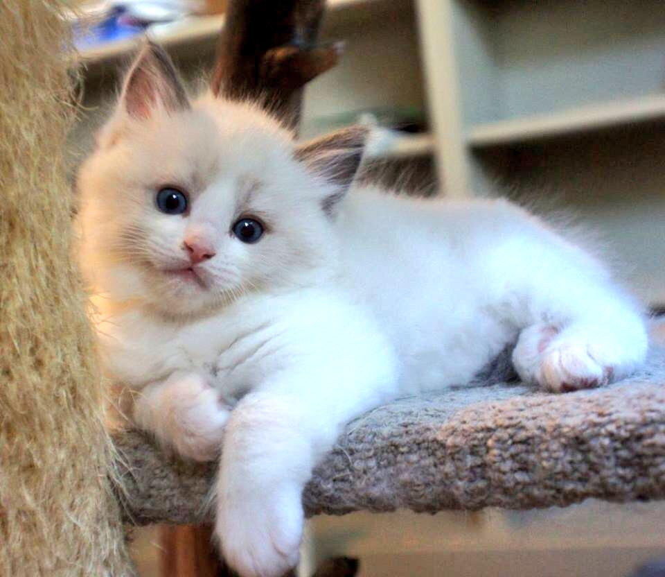 ❤ #K3COC ❤️
@BayOon_511 <a href="/Natanaelmiangel/">Lolett y Natanael</a> <a href="/followtheSain/">Allen Griffin</a> @VJNira <a href="/Darksun_always/">Marie</a> <a href="/DopeyPS/">Jiminy</a>