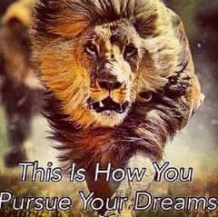 AnthonyRodney2's tweet photo. @angiejoly2 http://t.co/gqQAkYdjBU