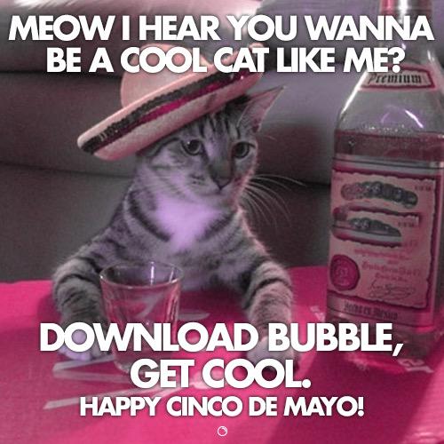 bubblesocialapp tweet picture