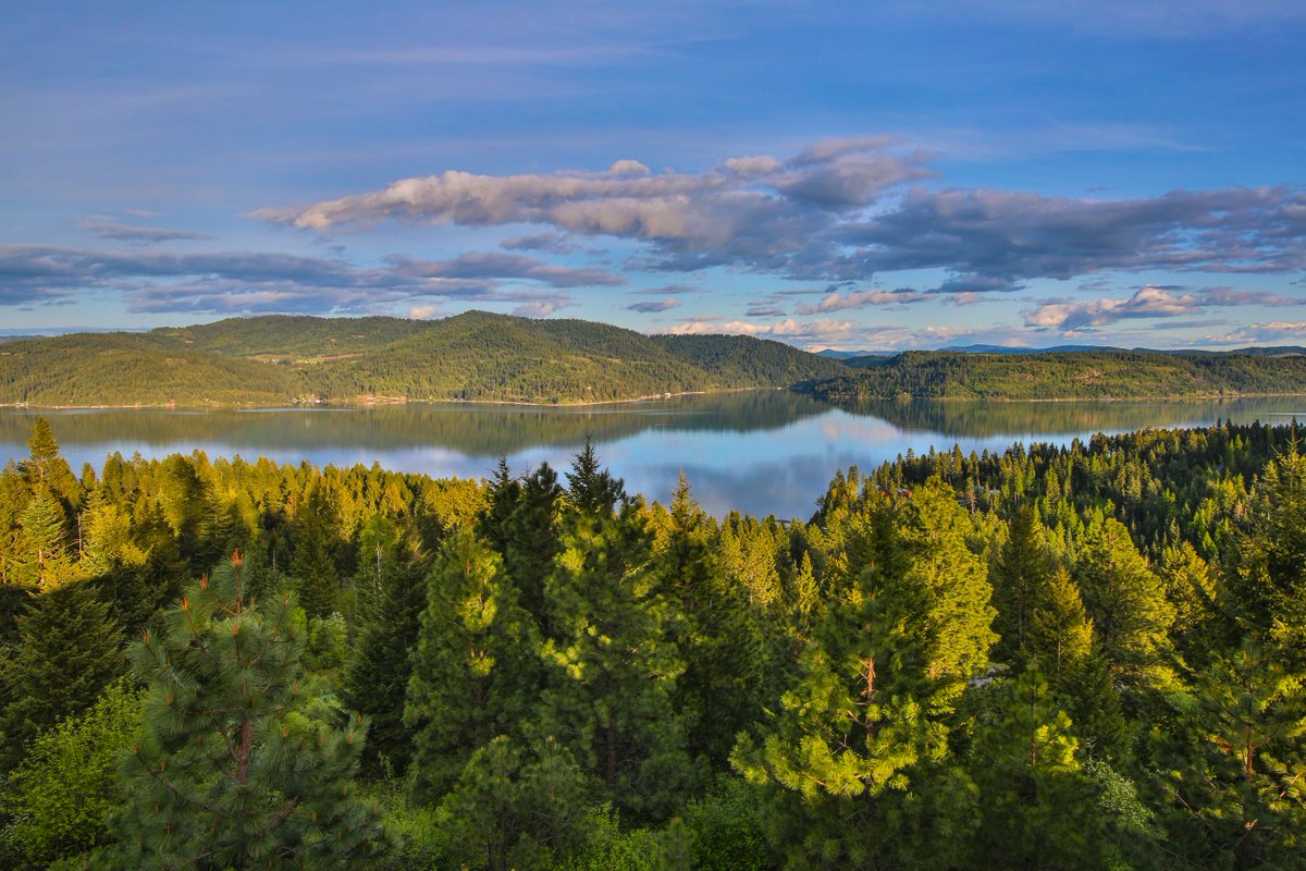 The prospect of living here is becoming real. Cabin renderings to come Wednesday! bit.ly/1IKwMw3