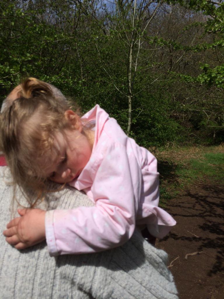 SaraRamsden's tweet image. Pretending to be asleep so grandad would carry her #notdaft #wartoncrag