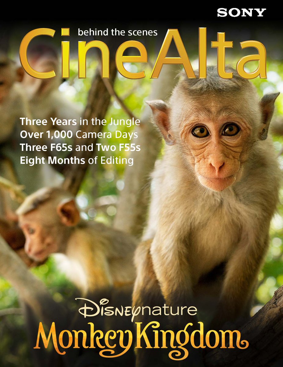 SonyCine's tweet photo. Incredible production story forthcoming, 3 years in jungle, over 1000 camera days, 8 months editing #F65 #F55 http://t.co/0H2IEaPVtj
