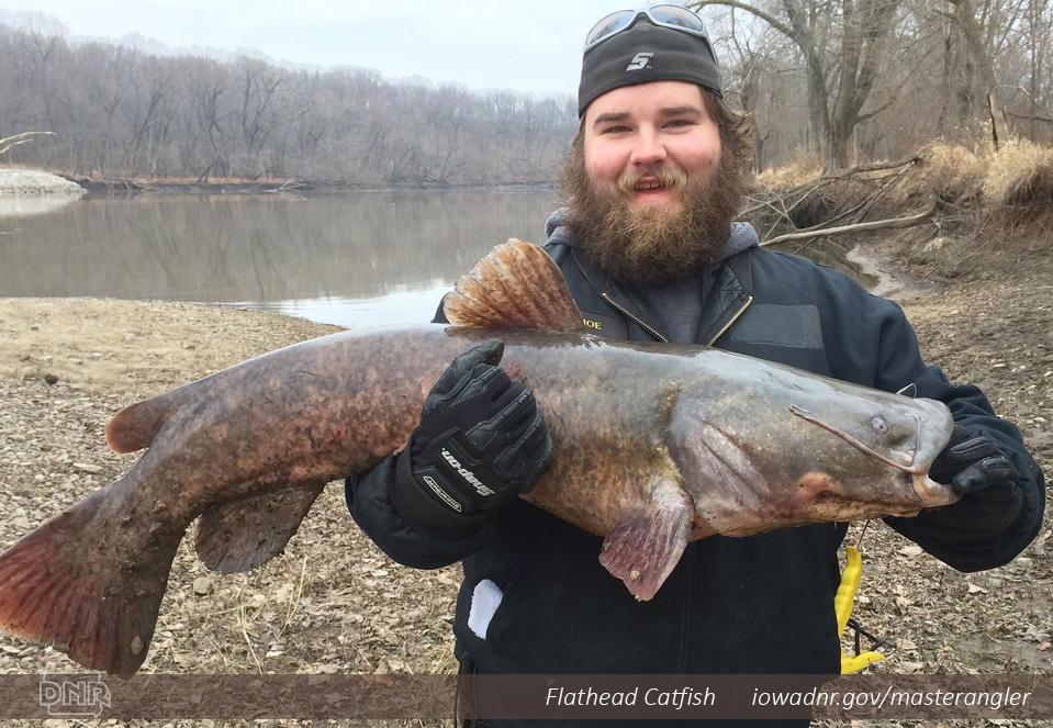 iowadnr's tweet photo. 304 awards for 28 different #fish species caught by #Iowa's #MasterAnglers in 2014! http://t.co/MRXfB0xrhS http://t.co/uW2G9qE8Do