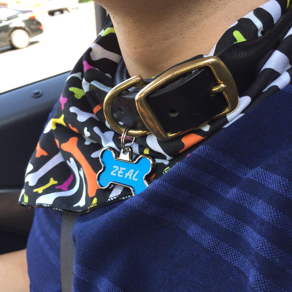 puphandlerwill's tweet photo. Pup Zeal's new collar and name tags. #puppyhandlerwill #gaypup #BDSM #mypuppy #SEA-PAH #SEA #sirwill http://t.co/DF2cUqw49N