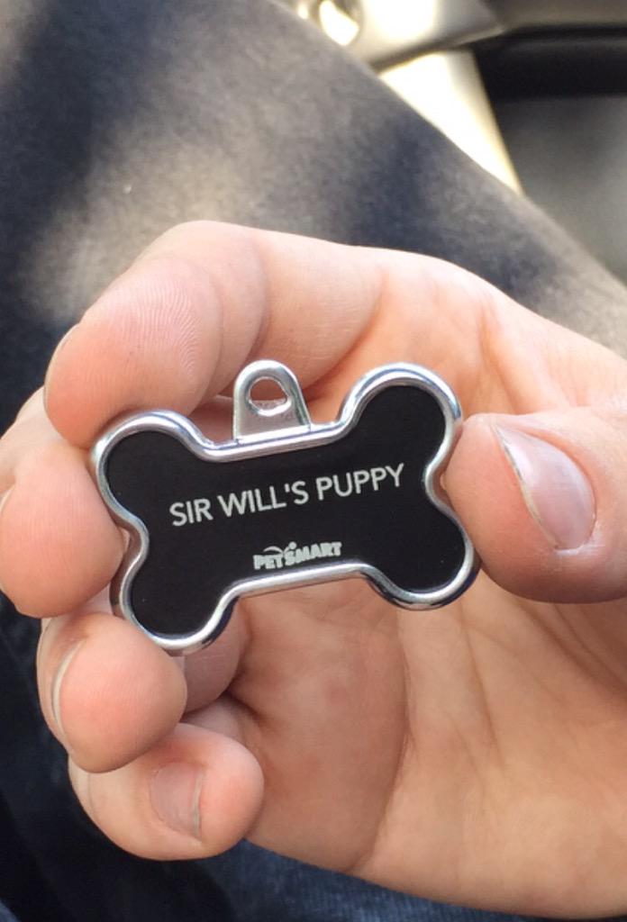 puphandlerwill's tweet photo. Pup Zeal's new collar and name tags. #puppyhandlerwill #gaypup #BDSM #mypuppy #SEA-PAH #SEA #sirwill http://t.co/DF2cUqw49N