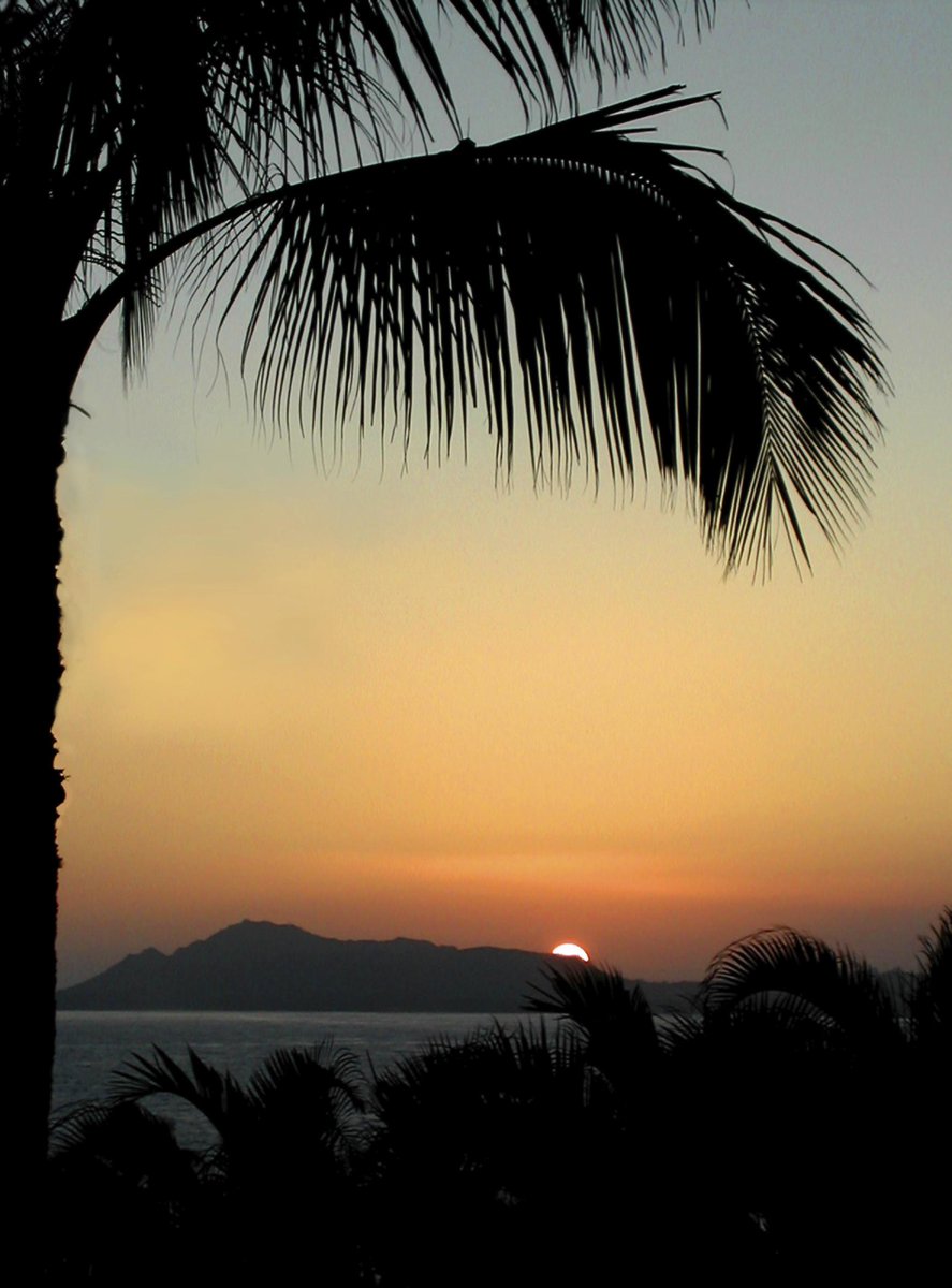 ryansgrill's tweet photo. Favorite #Honolulu destination? GO! http://t.co/iTAQLhIO43