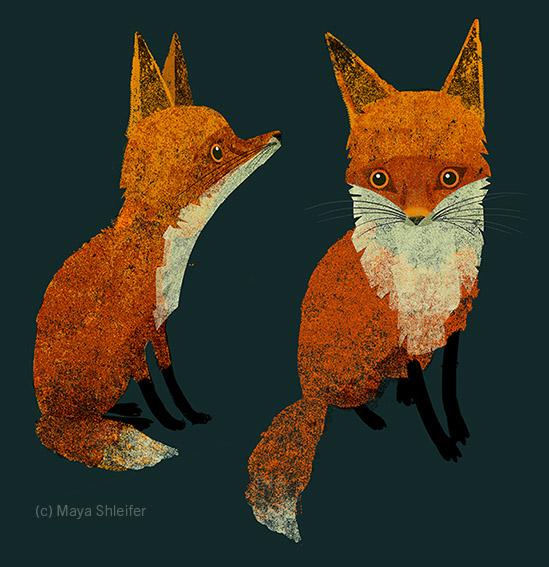 MayaShleifer's tweet photo. #fox #illustration http://t.co/DIwlRCUoa9