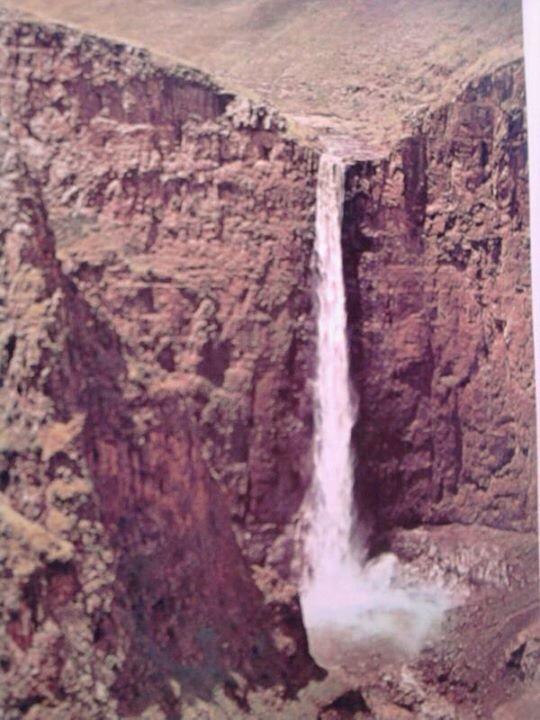 Talushma tweet picture