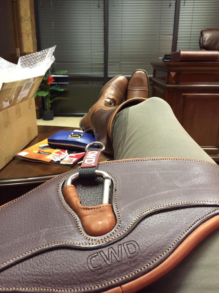 HungoverHunter's tweet photo. Casually cuddling my new girth! #CWD #equestrianproblems http://t.co/zCZTdflwMe
