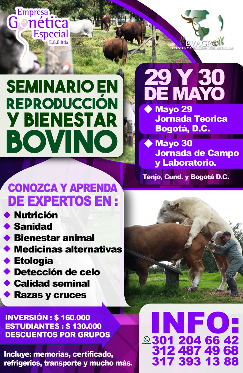 Egenetica's tweet photo. SEMINARIO EN REPRODUCCION Y BIENESTAR BOVINO 
Organizan @egenetica y @evagrope http://t.co/hHtFdmlNn7