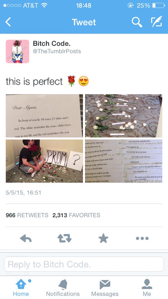 lionesstella's tweet image. No it&apos;s not perfect #incorrectgrammar