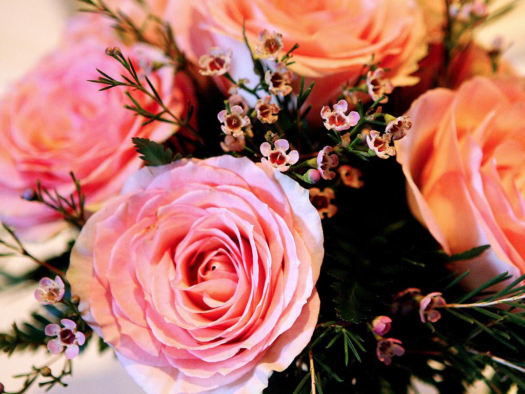 eatmorgans's tweet photo. Mother's Day Brunch this weekend! http://t.co/fh24GVmGJP http://t.co/3tSidG9EXH