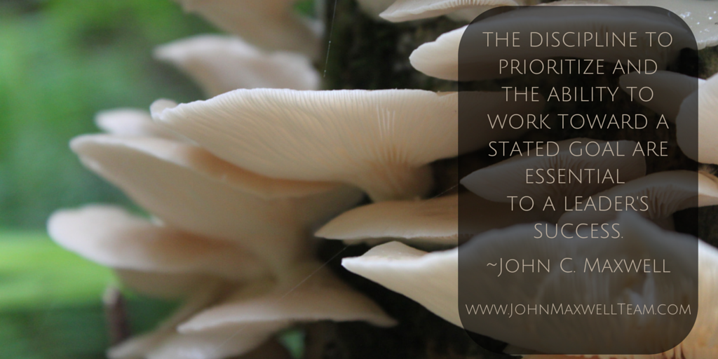 TheJohnCMaxwell's tweet photo. Discipline, priority, success! #JMTeam https://t.co/2EQXDsjiY5