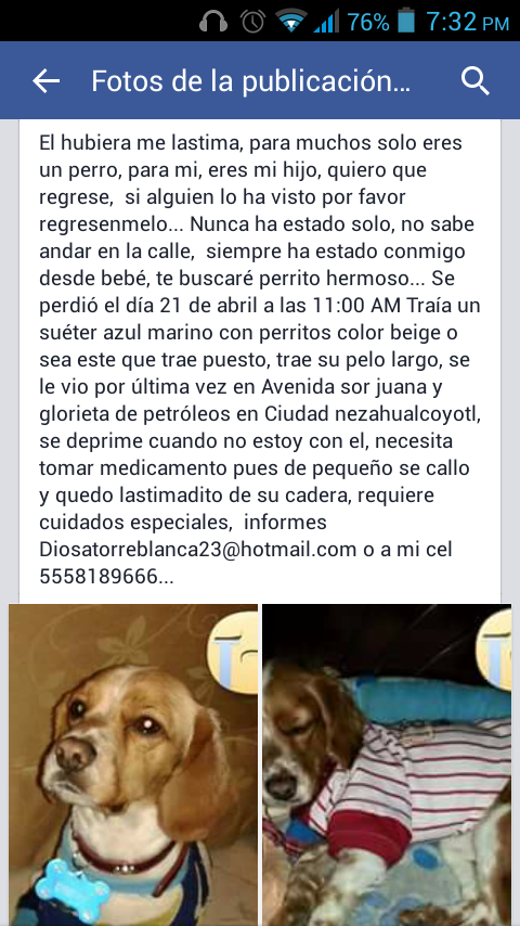 nady12003's tweet photo. @PrrosPerdidosMX @perronymous @MascotaPro http://t.co/9UUbYujO5y