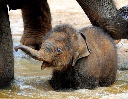 rickygervais tweet picture