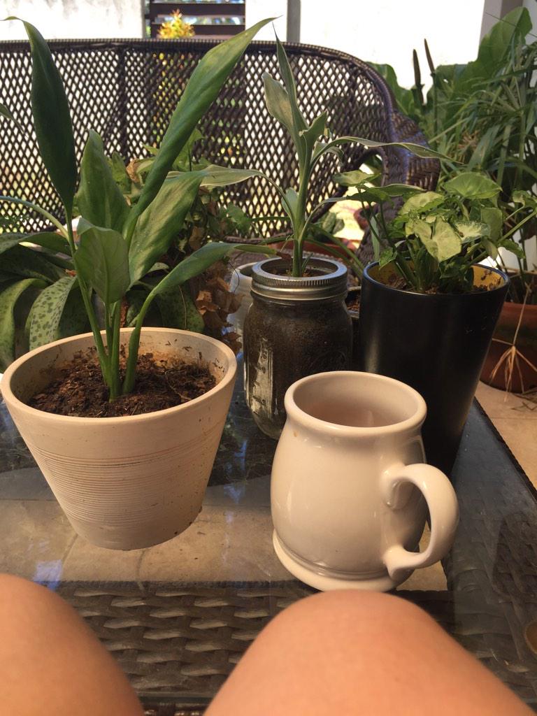 irislnrd's tweet image. I so ❤️ my new mug from #unitop.. 😍😍😍