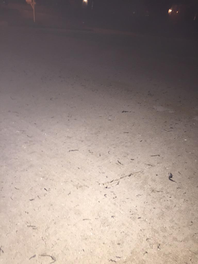 Diana Kellner (@dianataylor70) on Twitter photo 