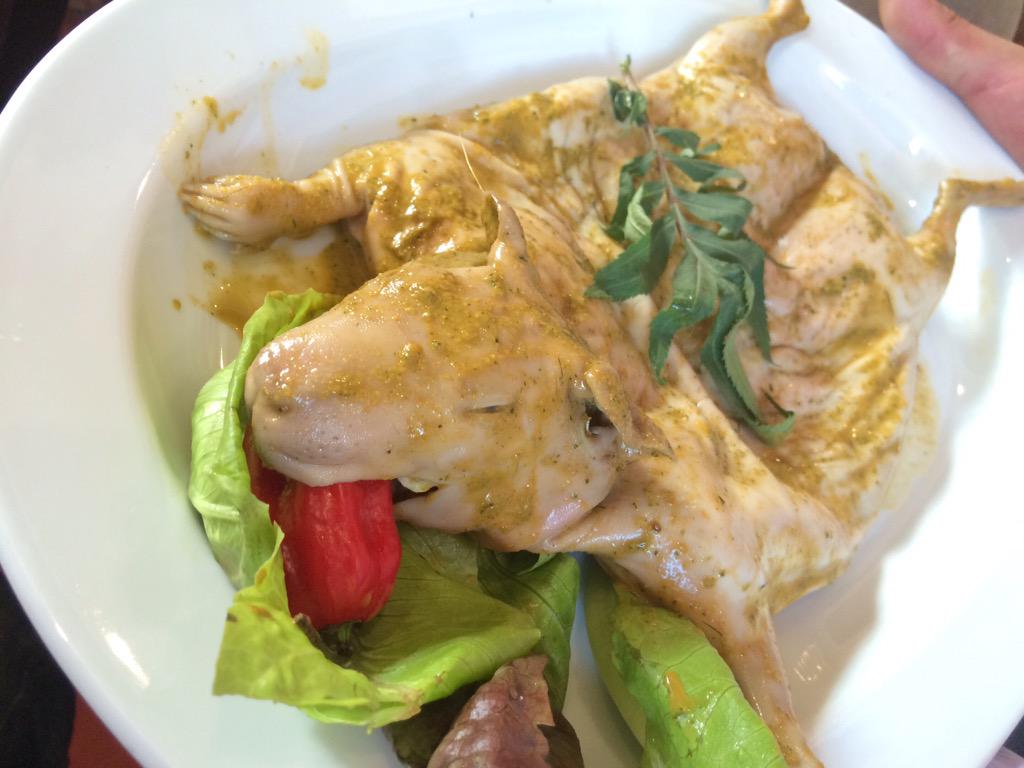 山本ともひろ ペルー出張 特別編 現地で食されているクイ 食用モルモット を食べてみました ロースト風に焼いたものと揚げたもの2種類頂きました 地域によって食べ方が違うそうです お店の方が香草で臭いを消している最中の食材も見せてくれました 山本ともひろ ペルー出張 特別編 現地で食されているクイ 食用モルモット を食べてみました ロースト風に焼いたものと揚げたもの2種類頂きました 地域によって食べ方が違うそうです お店の方が香草で臭いを消している最中の食材も見せてくれました