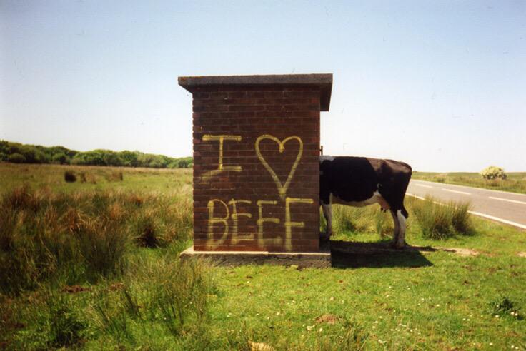 jay_grubb30's tweet photo. #Beef2015 http://t.co/TrJOLg8gIv