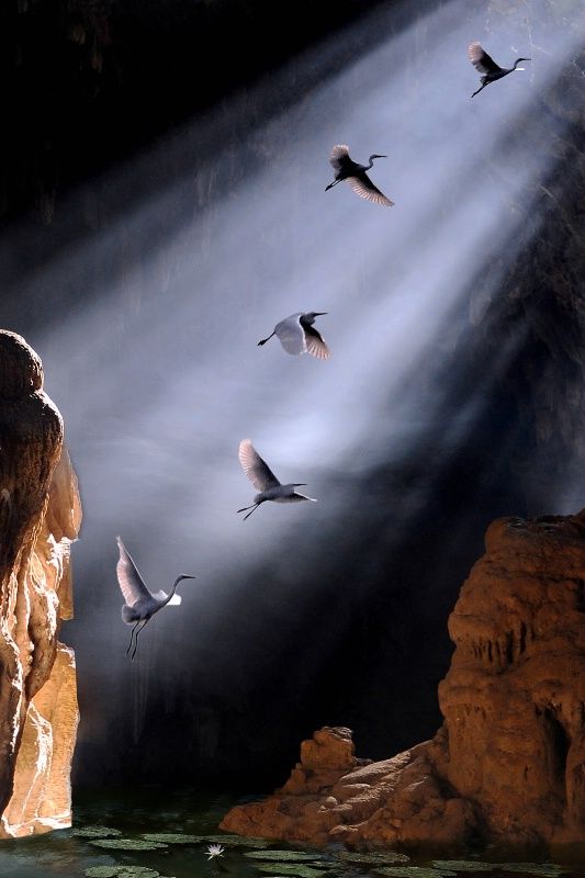 <a href="/followtheSain/">Allen Griffin</a> @BayOon_511 <a href="/opalc77502/">Opal a.k.a Celyndria</a> <a href="/AlexaThirel/">Alexa.°•®°🌹</a> <a href="/Darksun_always/">Marie</a> @282910ann To the exit by Soe Than