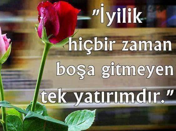 Şaban barbaros (@sabarbaros) on Twitter photo 