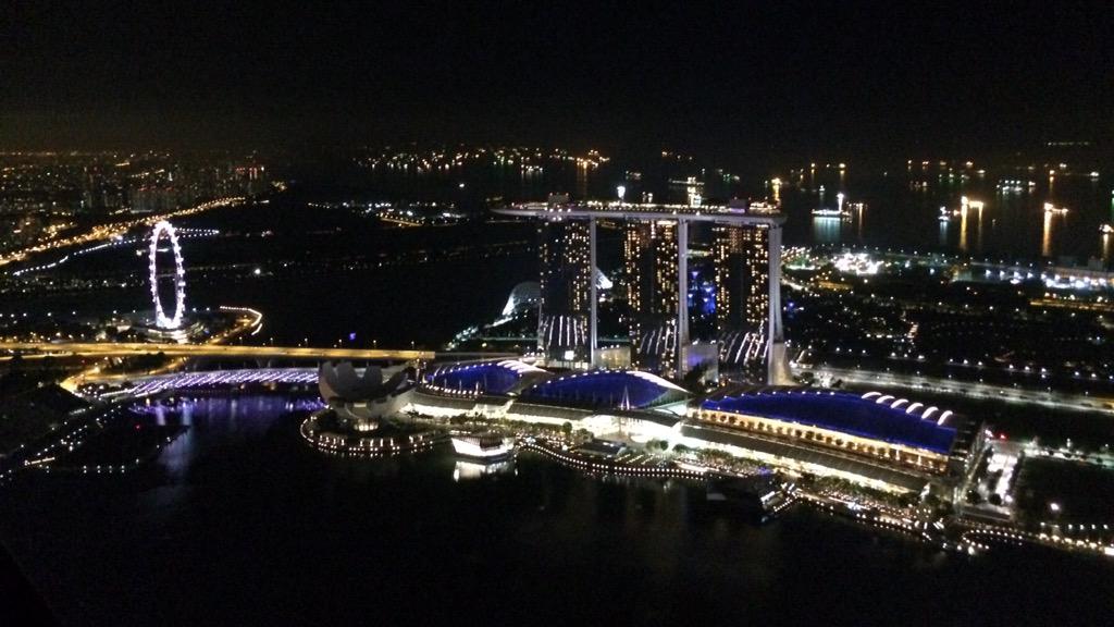 CynieC's tweet photo. The #ultimate #singapore #nightview at the #Altimate #club @marinabaysands looking stunning as always #city #ttot http://t.co/YCryWJnGiQ