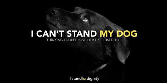 How would you feel if you couldn't pet your best friend? bit.ly/as23d4v #StandforDignity