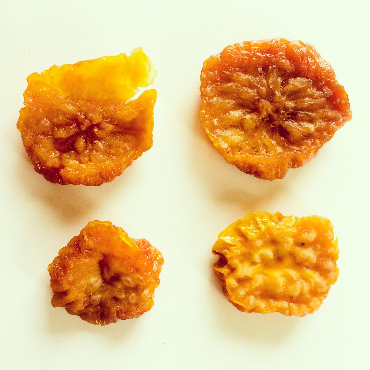 moxieinsider's tweet photo. Delicious and healthy cashew apple treats at #MoxieHQ today via @TourismGoa courtesy of @nainishah #futureisgreen http://t.co/aRpNCdNqiT