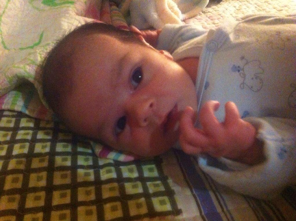 antocsapv1's tweet photo. La alegria de mi casa 😘😘😘😍😍😍😍😍😍😍😍 http://t.co/1FGhIqWcNa