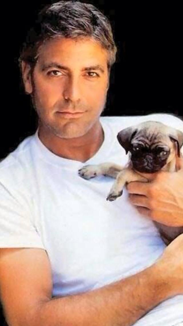 Happy Birthday George Clooney! Here are some of our fave pics of gorgeous George: 