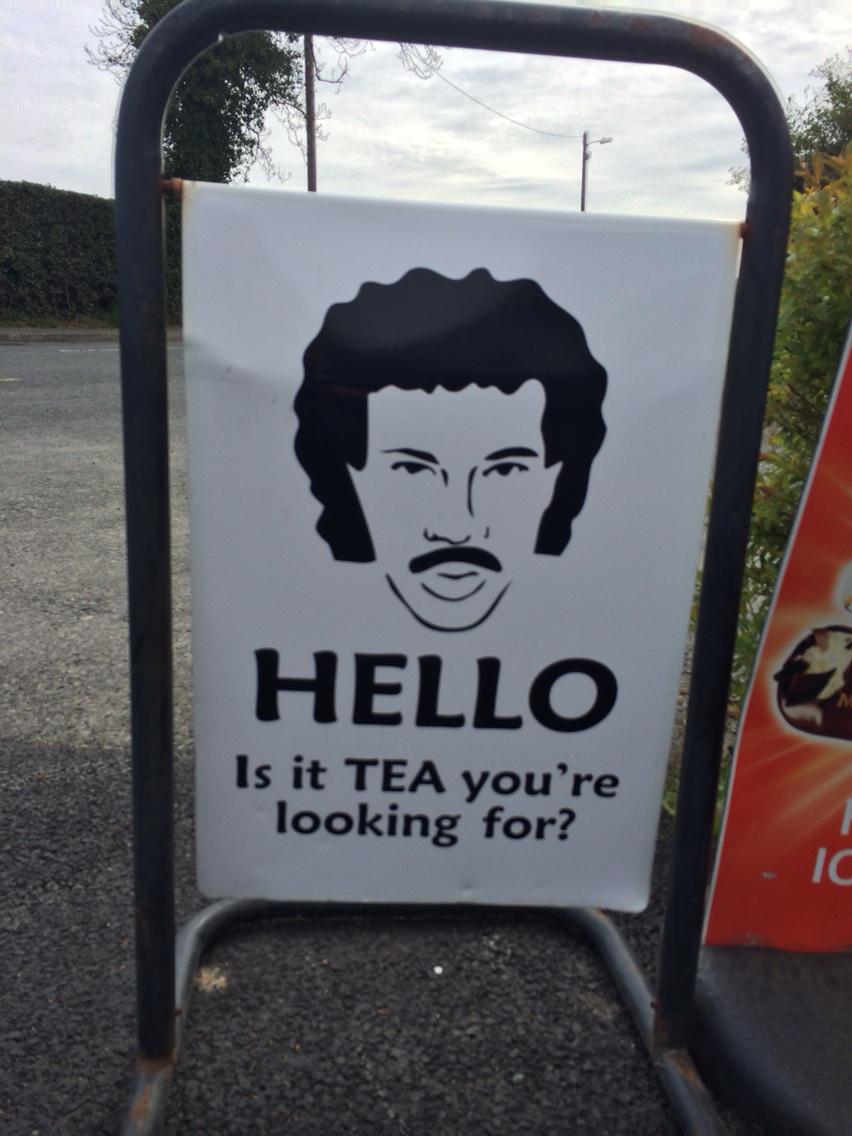This sign on Beech Road, Avoca.