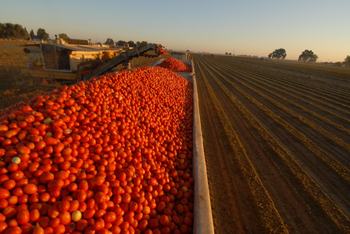 A (Self-Managed) Place in the California Sun. New post @ SMI... self-managementinstitute.org #selfmanagement #engagement