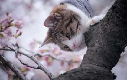 Emma12Cat's tweet photo. This is sooo... Pink! http://t.co/UBWPKma9uX