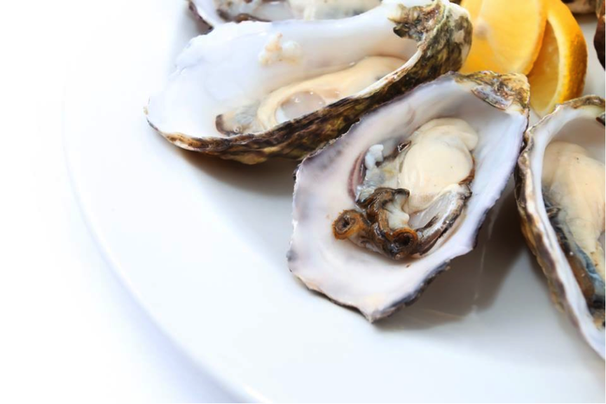 Midweek simplicity. #jellyfishbne