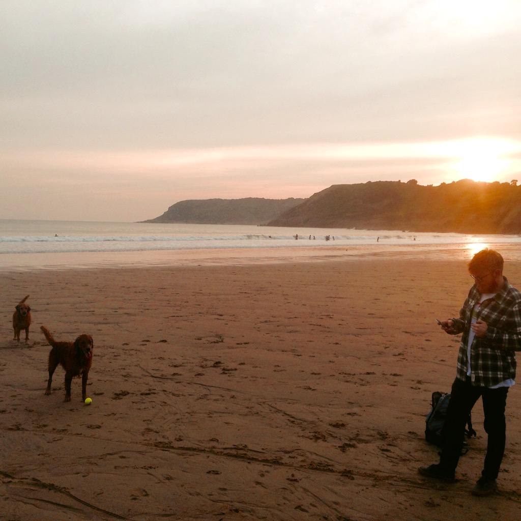 dogwalkcardiff's tweet photo. Caswell Bay early Morning, attempting to fly a Drone and throw a Ball. #dogdays #dogboarding #dogwalking #cardiff http://t.co/b0VOZYkUA9