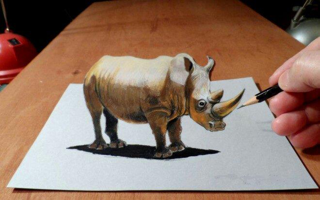 3d rhino drawing