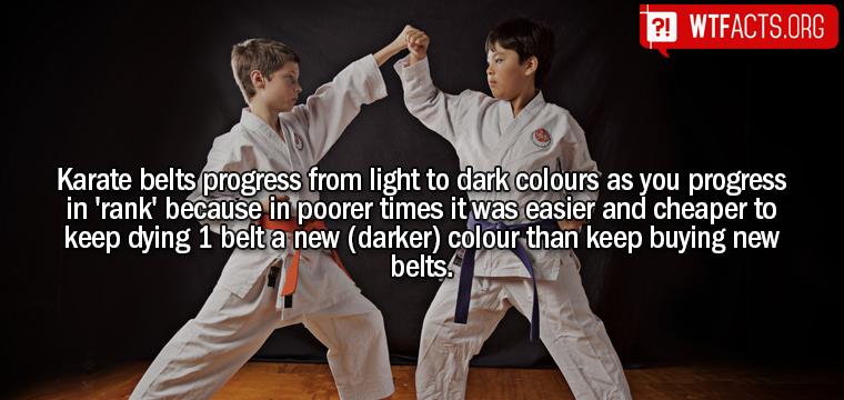 WTFactsOrg's tweet image. Read more on WTFacts.org/XTvhi