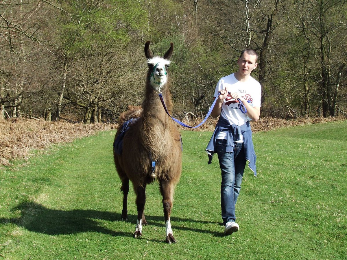 horizonvl's tweet image. ? @DavidCameron_MP Why is cost now prioritised ahead of my sons special and unique needs #answerplease #letsgoviral