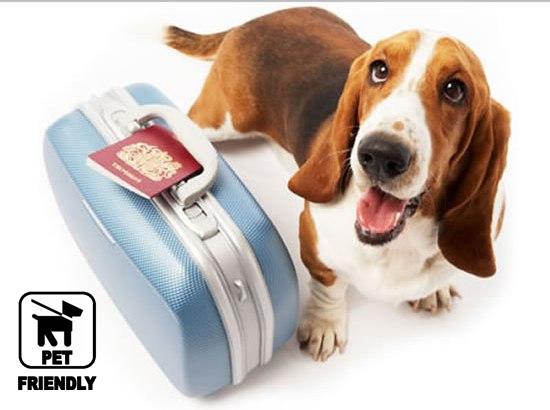 ParkInnAstr's tweet photo. #ParkInnbyRadisson #Astrakhan allows accommodation with #pets! http://t.co/vaOwAfjTcu