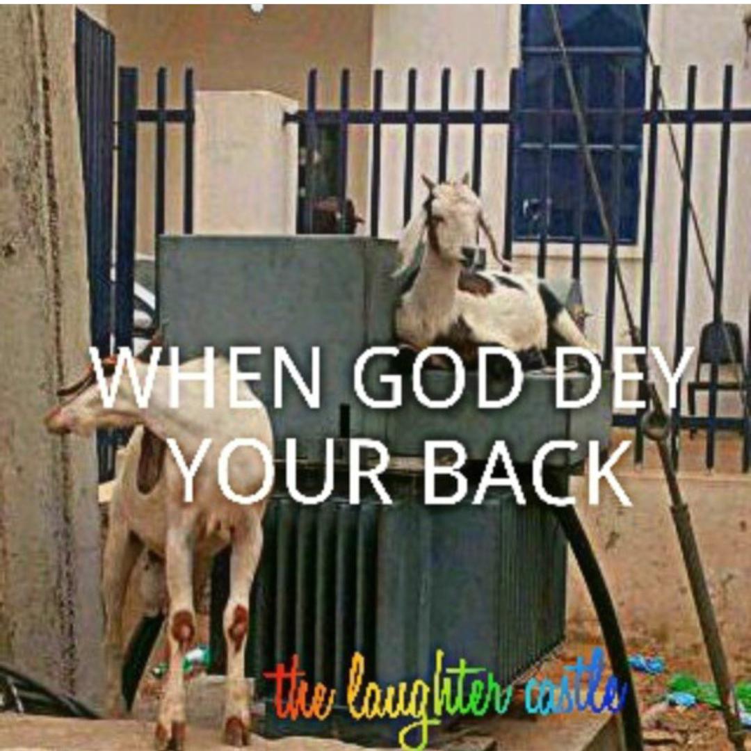 LaughterCastle (@laughtercastle) on Twitter photo 