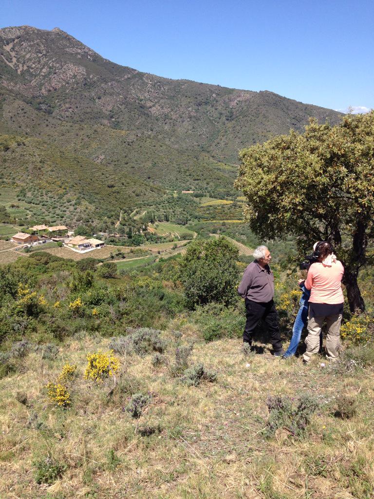 Ara a Mas Estela, quin goig!